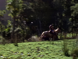 extant_XenaWarriorPrincess_1x15-WarriorPrincess_00002