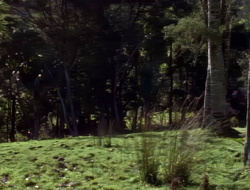 extant_XenaWarriorPrincess_1x15-WarriorPrincess_00003