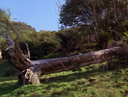 extant_XenaWarriorPrincess_1x15-WarriorPrincess_00004