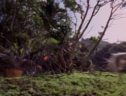 extant_XenaWarriorPrincess_1x15-WarriorPrincess_00007
