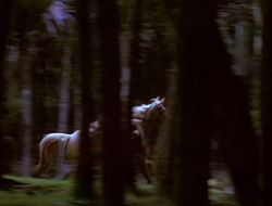 extant_XenaWarriorPrincess_1x15-WarriorPrincess_00011
