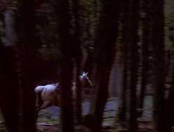 extant_XenaWarriorPrincess_1x15-WarriorPrincess_00012