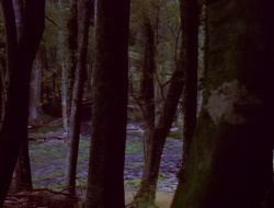 extant_XenaWarriorPrincess_1x15-WarriorPrincess_00015
