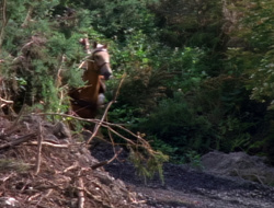 extant_XenaWarriorPrincess_1x15-WarriorPrincess_00016