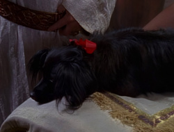 extant_XenaWarriorPrincess_1x15-WarriorPrincess_00619