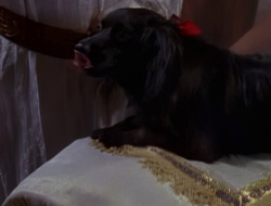 extant_XenaWarriorPrincess_1x15-WarriorPrincess_00621