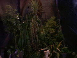 extant_XenaWarriorPrincess_1x15-WarriorPrincess_01252