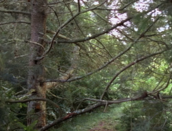 extant_XenaWarriorPrincess_1x15-WarriorPrincess_01305