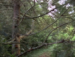 extant_XenaWarriorPrincess_1x15-WarriorPrincess_01306