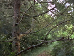 extant_XenaWarriorPrincess_1x15-WarriorPrincess_01307