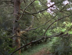 extant_XenaWarriorPrincess_1x15-WarriorPrincess_01308