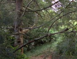 extant_XenaWarriorPrincess_1x15-WarriorPrincess_01309