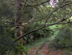 extant_XenaWarriorPrincess_1x15-WarriorPrincess_01310
