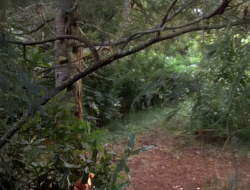 extant_XenaWarriorPrincess_1x15-WarriorPrincess_01312