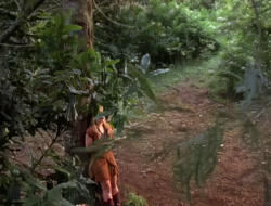 extant_XenaWarriorPrincess_1x15-WarriorPrincess_01315