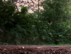 extant_XenaWarriorPrincess_1x15-WarriorPrincess_01462