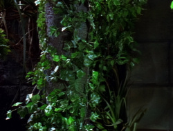 extant_XenaWarriorPrincess_1x15-WarriorPrincess_01635