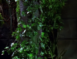 extant_XenaWarriorPrincess_1x15-WarriorPrincess_01636