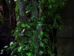extant_XenaWarriorPrincess_1x15-WarriorPrincess_01637