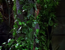 extant_XenaWarriorPrincess_1x15-WarriorPrincess_01638