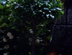 extant_XenaWarriorPrincess_1x15-WarriorPrincess_02595
