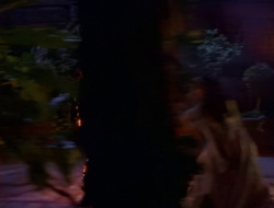 extant_XenaWarriorPrincess_1x15-WarriorPrincess_02668