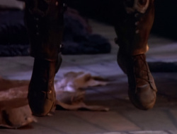 extant_XenaWarriorPrincess_1x15-WarriorPrincess_02778
