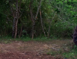 extant_XenaWarriorPrincess_1x15-WarriorPrincess_02880