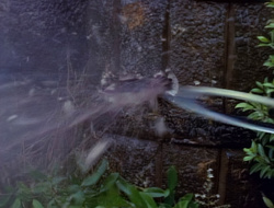 extant_XenaWarriorPrincess_1x15-WarriorPrincess_02981