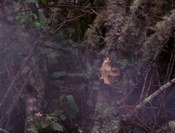 extant_XenaWarriorPrincess_1x15-WarriorPrincess_02984