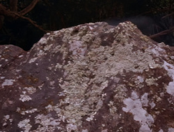 extant_XenaWarriorPrincess_1x15-WarriorPrincess_02992