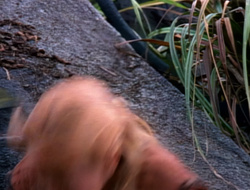 extant_XenaWarriorPrincess_1x15-WarriorPrincess_02993