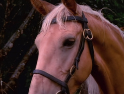 extant_XenaWarriorPrincess_1x15-WarriorPrincess_02994