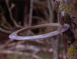 extant_XenaWarriorPrincess_1x15-WarriorPrincess_02998