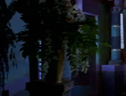 extant_XenaWarriorPrincess_1x15-WarriorPrincess_03194