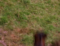 extant_XenaWarriorPrincess_1x15-WarriorPrincess_03263