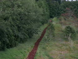 extant_XenaWarriorPrincess_1x15-WarriorPrincess_03571