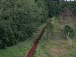 extant_XenaWarriorPrincess_1x15-WarriorPrincess_03572