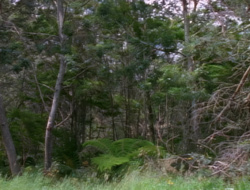 extant_XenaWarriorPrincess_1x15-WarriorPrincess_03589