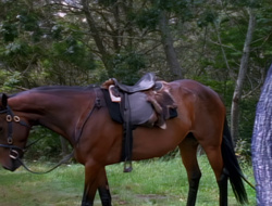 extant_XenaWarriorPrincess_1x15-WarriorPrincess_03608
