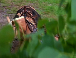 extant_XenaWarriorPrincess_1x15-WarriorPrincess_03662
