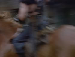 extant_XenaWarriorPrincess_1x22_Callisto_00037