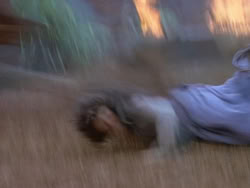 extant_XenaWarriorPrincess_1x22_Callisto_00039