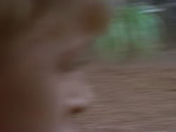 extant_XenaWarriorPrincess_1x22_Callisto_00041
