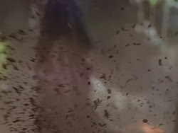 extant_XenaWarriorPrincess_1x22_Callisto_00050
