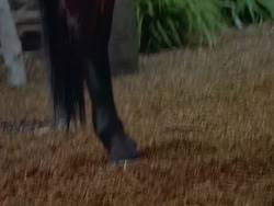 extant_XenaWarriorPrincess_1x22_Callisto_00082