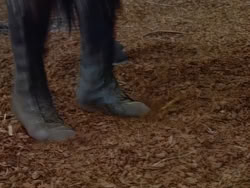 extant_XenaWarriorPrincess_1x22_Callisto_00083