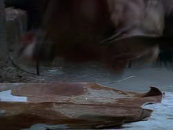 extant_XenaWarriorPrincess_1x22_Callisto_00367