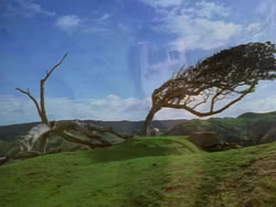 extant_XenaWarriorPrincess_1x22_Callisto_00596