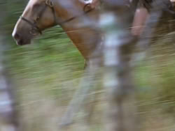 extant_XenaWarriorPrincess_1x22_Callisto_00740